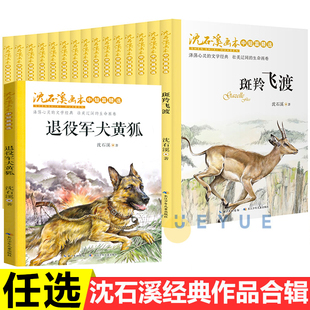 斑羚飞度后一头战象8 沈石溪画本 全套沈石溪动物小说系列正版