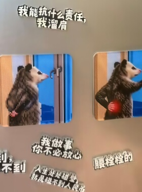 负鼠冰箱贴搞怪抽象表情包磁吸贴搞笑趣味亚克力装饰贴打工人嘴替