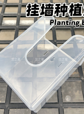 【兰之星】透明软塑料【挂壁种植盒子】西雷丽蝴蝶兰蕨类透气防摔