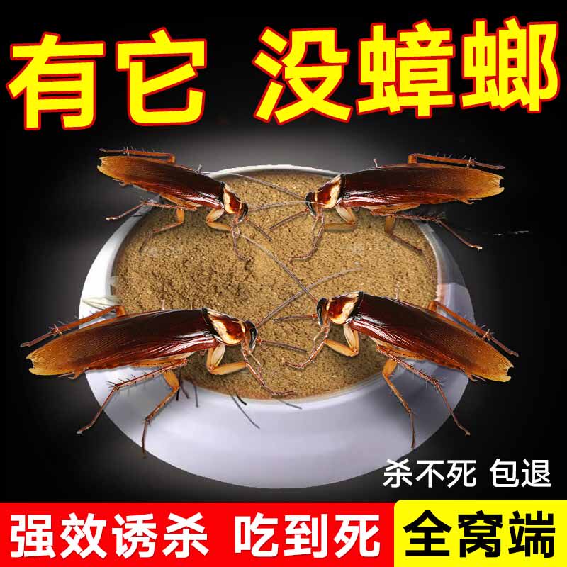 灭蟑螂药全窝端蟑螂屋家用非无毒强力一窝绝杀蟑螂胶饵神器诱饵剂