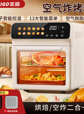 志高电烤箱2025新款可视化