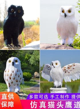 热卖仿真羽毛哈利波特猫头鹰道具cosplay表演摄影装饰橱窗摆件