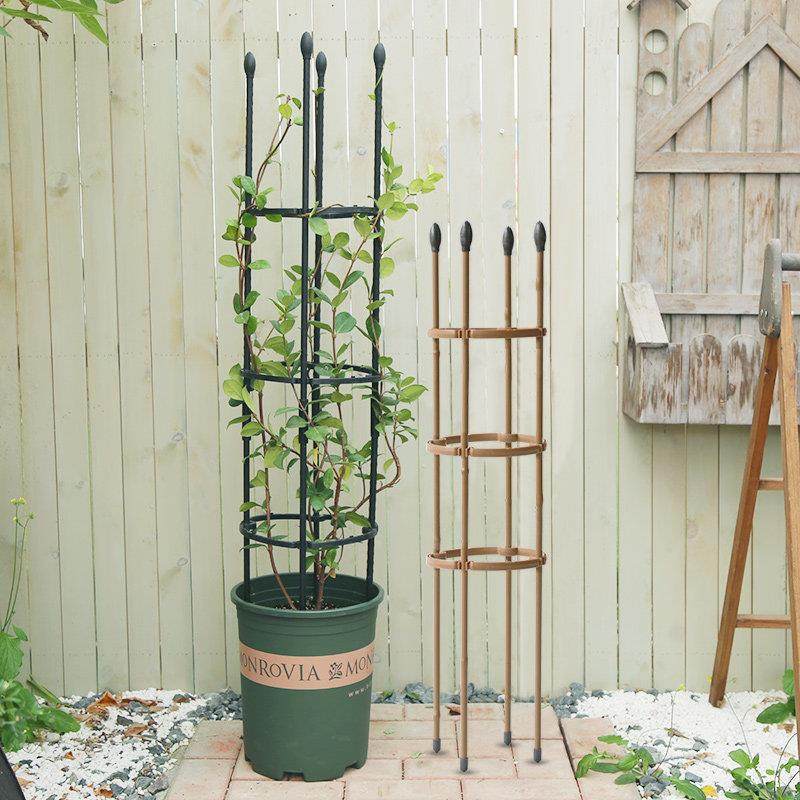 爬藤架子铁线莲花架月季花支架花盆栽植物攀爬架室内固定花支撑杆,鲜花速递/花卉仿真/绿植园艺,花架,淘宝优惠券,粉丝福利购,淘宝优惠卷