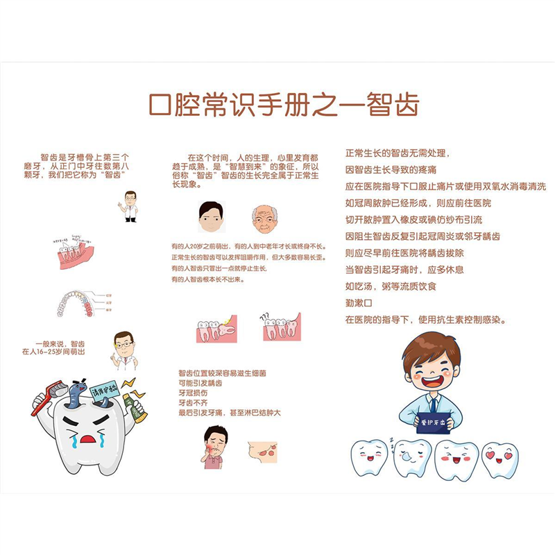 牙科诊所儿童换牙顺序图贴画牙科宣传海报爱牙日墙贴海报装饰画