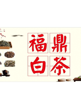 福鼎白茶海报展板福鼎老白茶白茶福鼎白茶的传说福鼎白茶简介墙贴