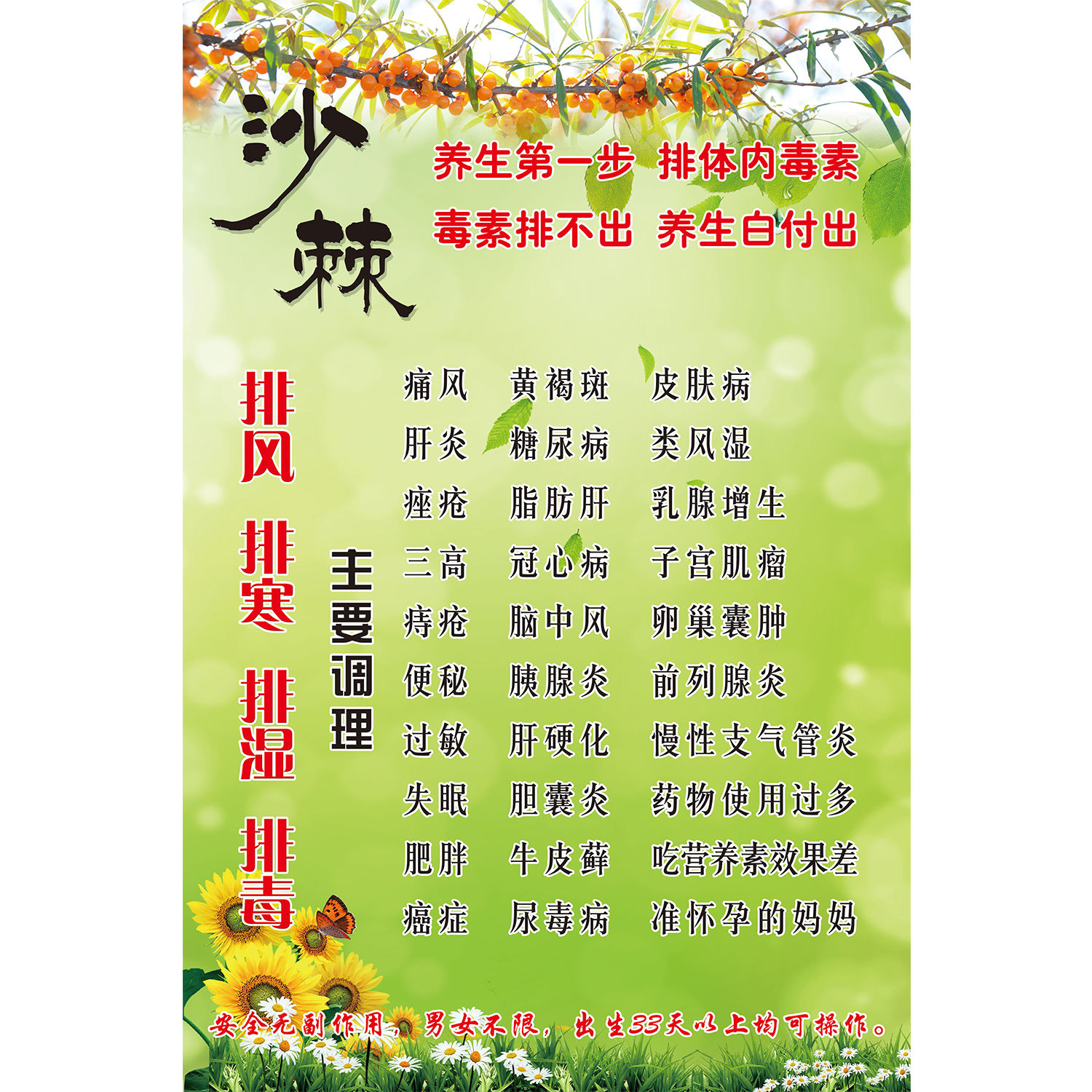 沙棘排毒排湿排风排酸海报宣传画理疗馆养生馆挂画装饰画挂图广告