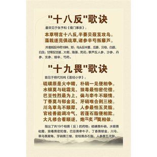 十八反歌诀十九畏歌诀海报展板十八反十九畏妊娠服药禁忌墙贴墙纸
