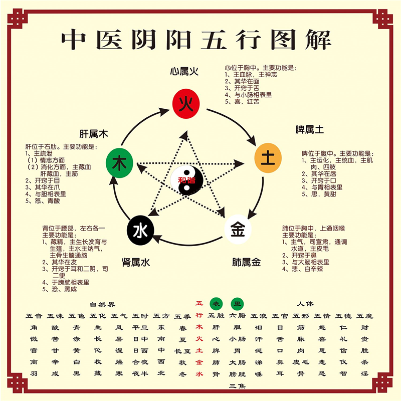 中医养生五行子午流注挂图 金木水火土五行图五脏六腑墙贴海报,家居饰品,软装墙贴,淘宝优惠券,粉丝福利购,淘宝优惠卷
