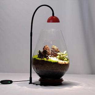 小红帽定时植物灯生态瓶造景微景观灯苔藓鱼缸盆栽全光谱补光灯