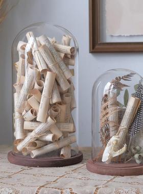 书房样板房玻璃罩科普植物饰品花卉植物主题永恒花卉展示配件盒装