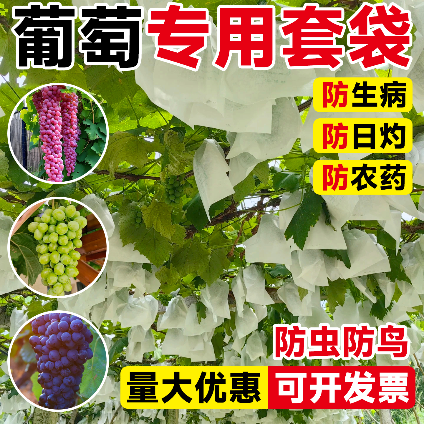 葡萄专用套袋防虫防鸟纸袋