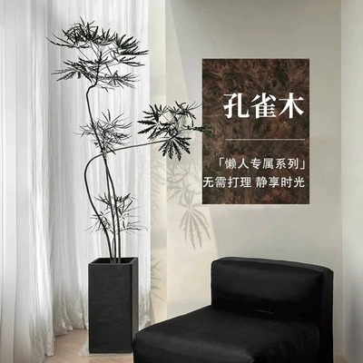 【精品】仿真孔雀木高端轻奢5S级