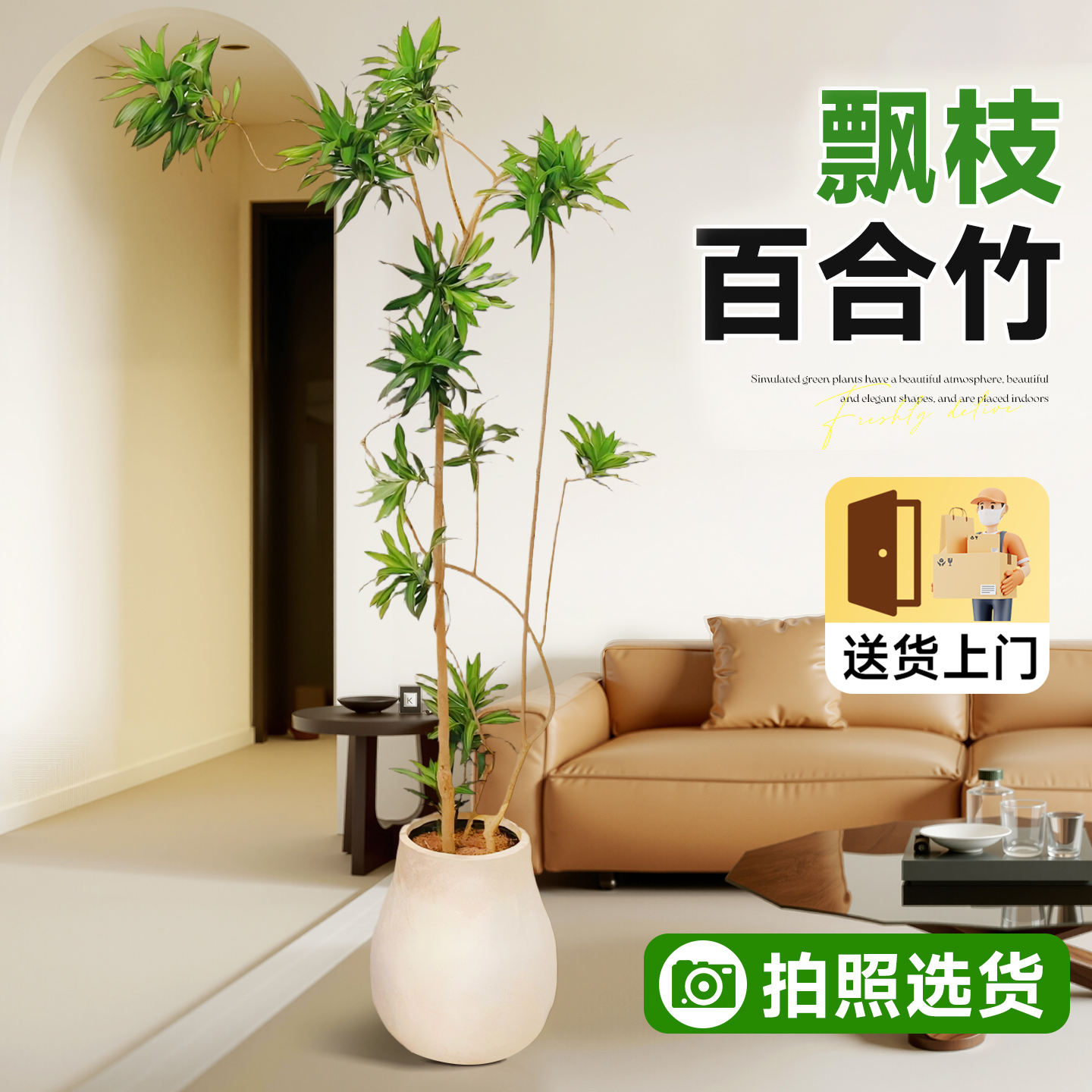 A+级飘枝造型百合竹拍照实发