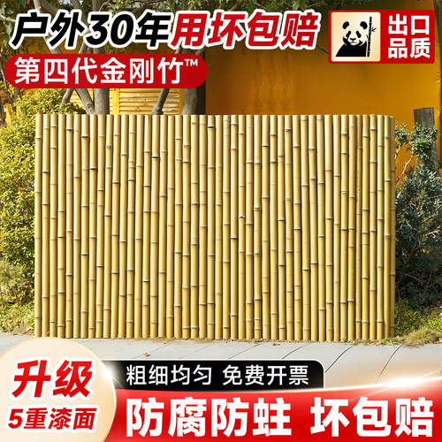 【金刚竹】竹篱笆30年坏了包退！