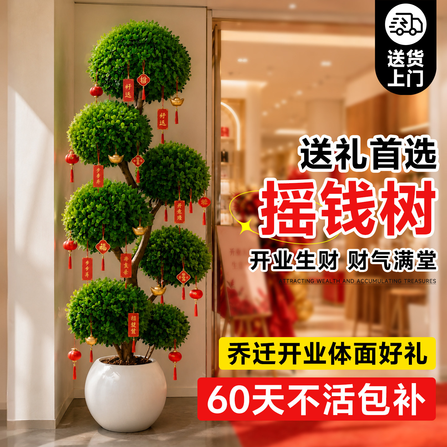 摇钱树盆栽金钱榕客厅绿植开业送礼乔迁旺宅大型好养盆景招财植物