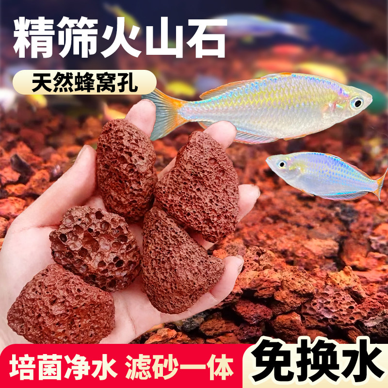 火山石鱼缸专用造景底部砂石颗粒火山岩大块滤材溪流石乌龟鱼池用,宠物/宠物食品及用品,造景/装饰,淘宝优惠券,粉丝福利购,淘宝优惠卷