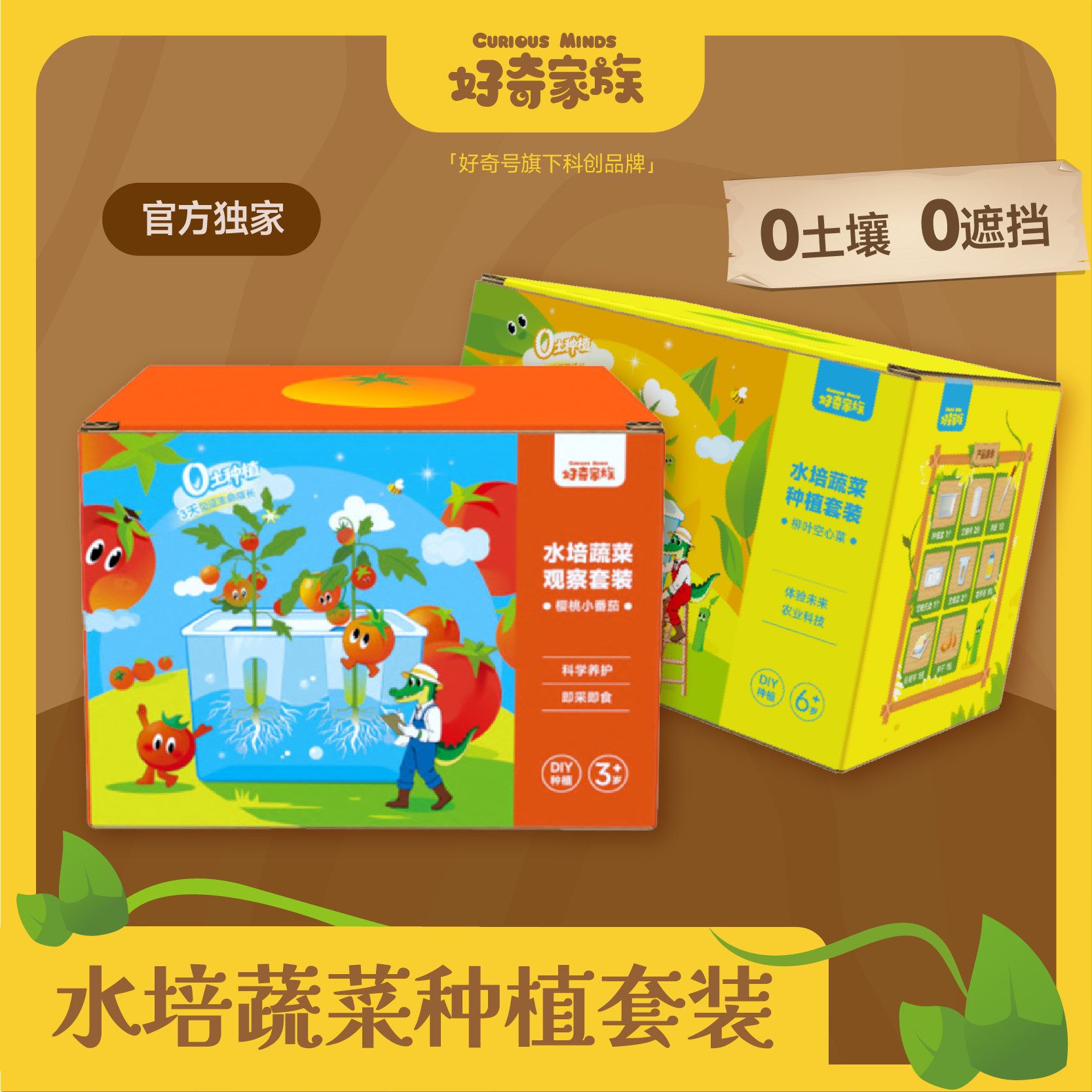 【好奇家族】水培蔬菜种植套装  柳叶空心菜 樱桃小番茄 DIY种植