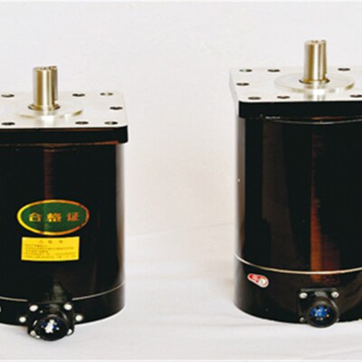二相步进电机110STG174-6004A