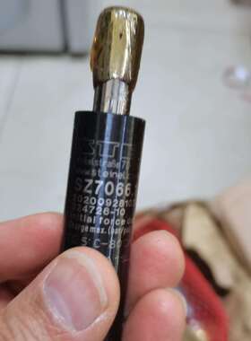 销售steinel normalien SZ8080.2.075X025B 84879090 气弹簧