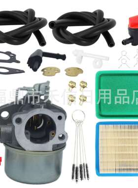 214706 215369 792970 798654 811056化油器Intek 190 850发动机