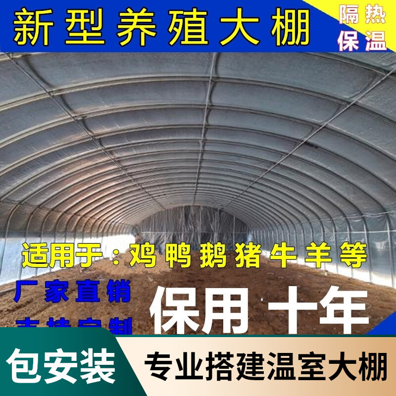 速发养膜大棚全套镀锌生产养虾养鹅暖棚钢骨架立体猪双圈鸡工程温