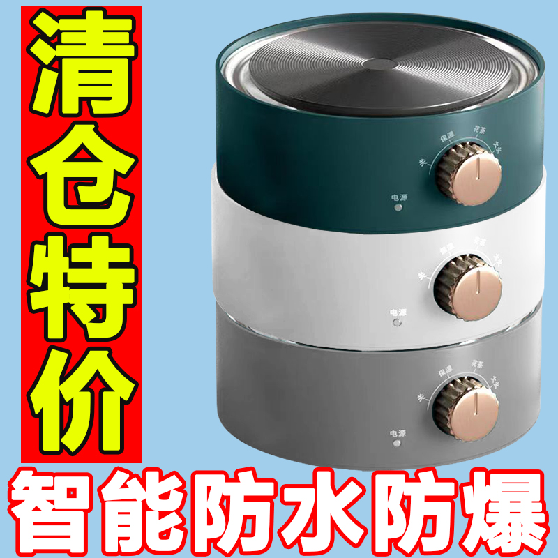 德国多功能大功率静音煮茶器