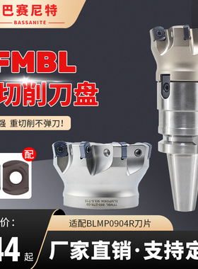 TFMBL铣刀盘 重型双面快进给切削数控刀盘通装特固克 BLMP0904R刀