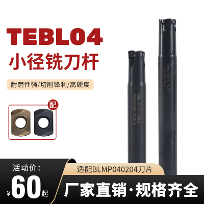 TEBL04小径铣刀杆 快进给开粗刀杆代替钨钢铣刀 特固克通装BLMP04