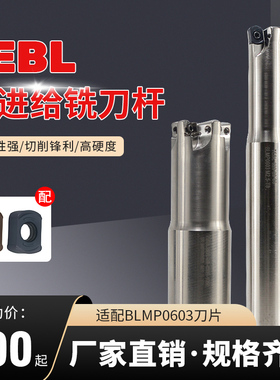 TEBL06快进给双面铣刀杆 特固克通装BLMP0603双面四角开粗铣刀片