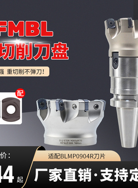 TEBL快进给铣刀盘CNC加工中心刀盘刀杆特固克通装BLMP0603R铣刀片
