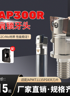 BAP300R方肩锁牙头装APMT1135刀片 抗震分体式数控螺纹立铣铣刀头