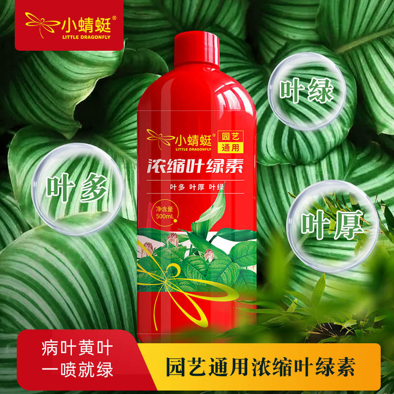 家庭园艺叶绿素营养液通用型浓缩观叶植物叶面喷施肥绿萝发财树