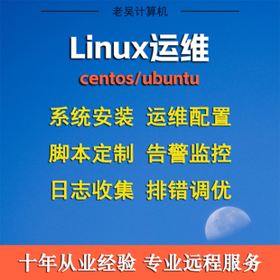 linux系统问题解决centos调试配置ubuntu故障处理远程技术支持