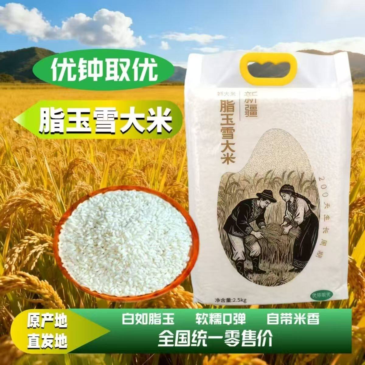 新疆阿克苏温宿5斤羊脂籽米脂玉雪大米香糯抽真空新胚芽粳米饭