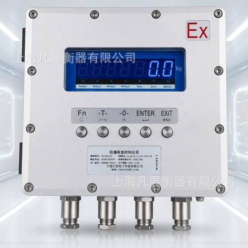 EX-RX3119隔爆型称重控制带RS485通讯4-20MA模拟量防爆显示器仪表