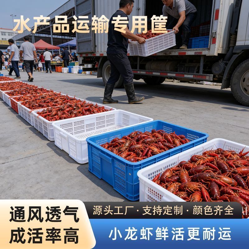 6只装】收纳加厚大号蔬菜周转筐子镂空小虾苗水产养殖虾苗筐