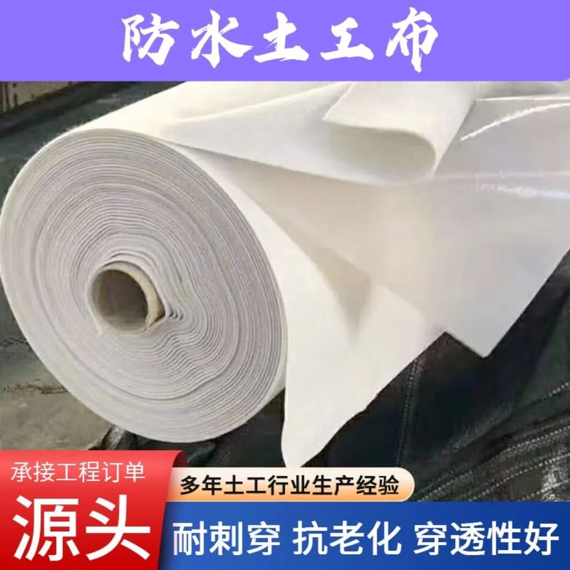 复合土工膜鱼塘护坡防渗膜鱼塘防漏河道蓄水池专用膜防水土工布