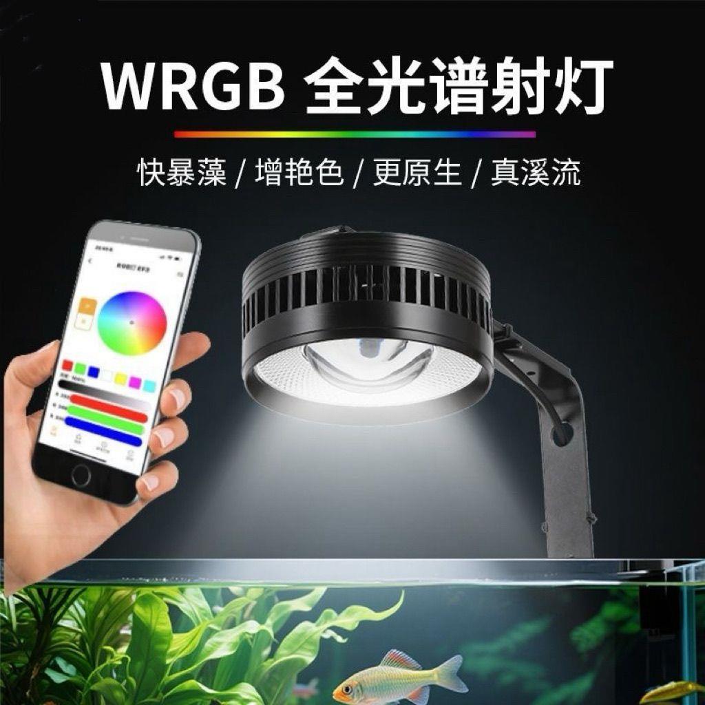 鱼缸筒灯专用照明原生溪