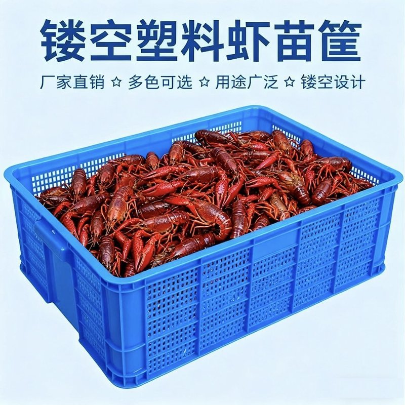 6只装】收纳加厚大号蔬菜周转筐子镂空小虾苗水产养殖虾苗筐