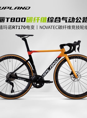 UPLAND阿普兰生肖虎公路车自行车碳纤维综合气动电变24速男女骑行