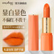 礼盒装 胡萝卜正橘色口红女生桔色橙色桃粉色哑光雾面品牌正品