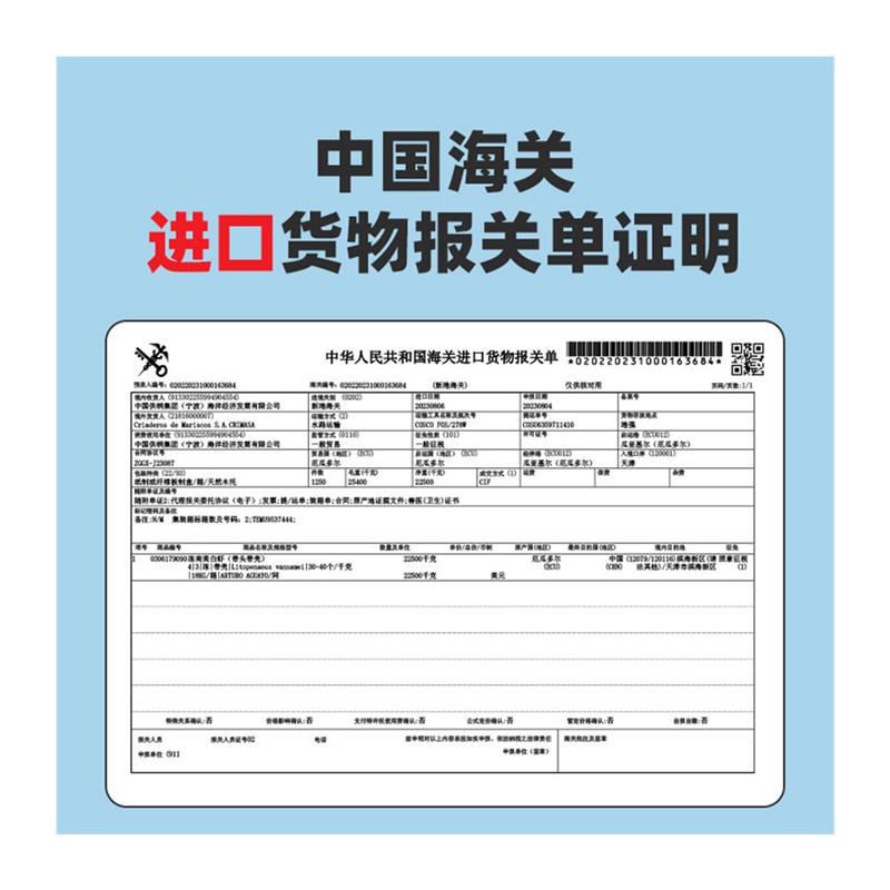 国联水产大虾鲜活速冻海虾生鲜虾类盐冻3040厄瓜多尔白虾南美白虾