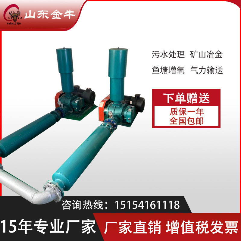 厂家直销三叶罗茨鼓风机污水处理曝气机水产养殖增氧机罗茨风机
