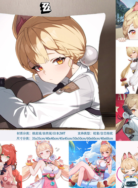 爱丽丝·泰姆菲尔德方枕ZZZ抱枕Alice游戏周边日本2WT枕套
