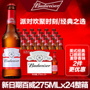 拉格黄啤酒聚会派对整箱啤酒275ml 百威啤酒瓶装 美式 经典 24小瓶装