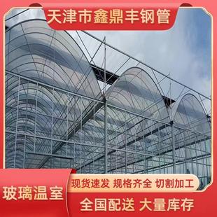 连栋薄膜大棚温室花卉养殖棚种植棚农业蔬菜大棚 厂家设计安装