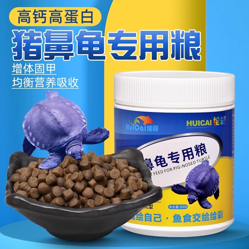 猪鼻龟黄缘龟绘彩固甲亮色高蛋白