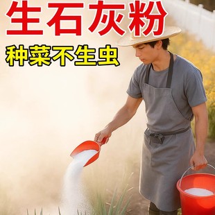 生石灰种菜专用杀虫正宗石灰粉干燥剂除湿家用鱼塘消毒白灰粉防虫