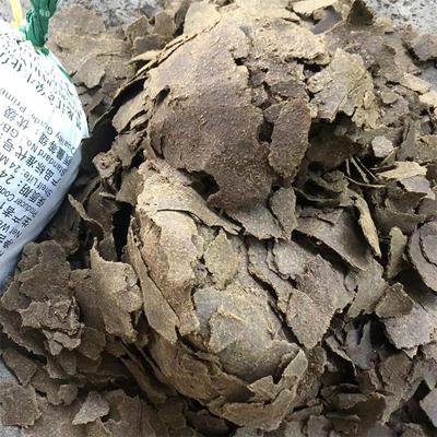 油坊现榨菜籽饼肥粉碎机 腐熟发酵有机肥打粉机 豆饼基肥破碎机