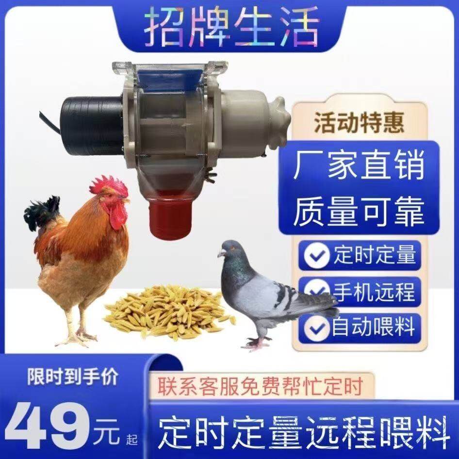 喂食器懒人自动定时远程下料盒家禽喂食器鸽子喂料玉米220v养鸡